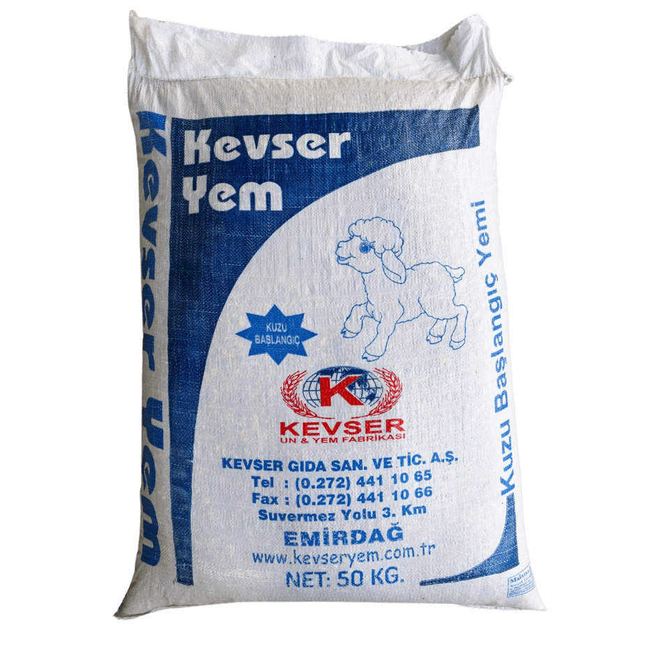 Adsız Tasarım (29)