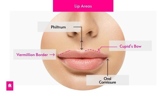 Lip filler