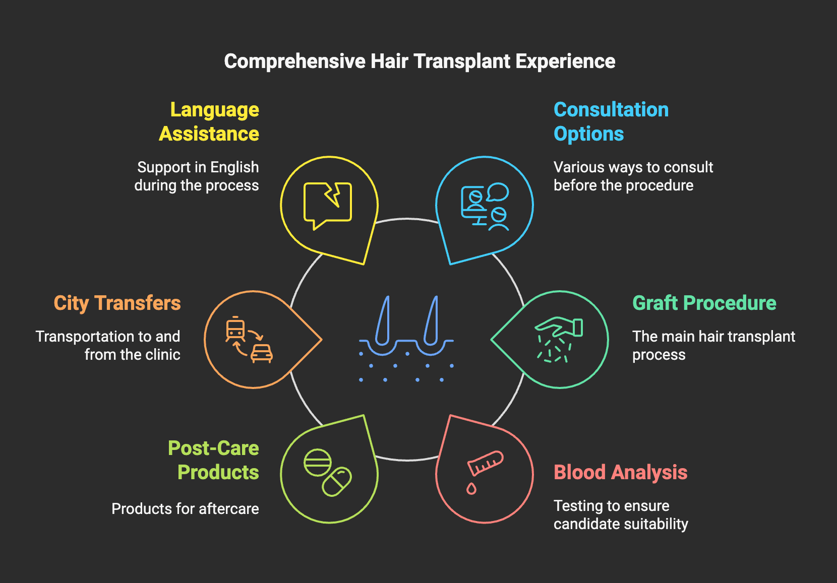 hair_transplant_process