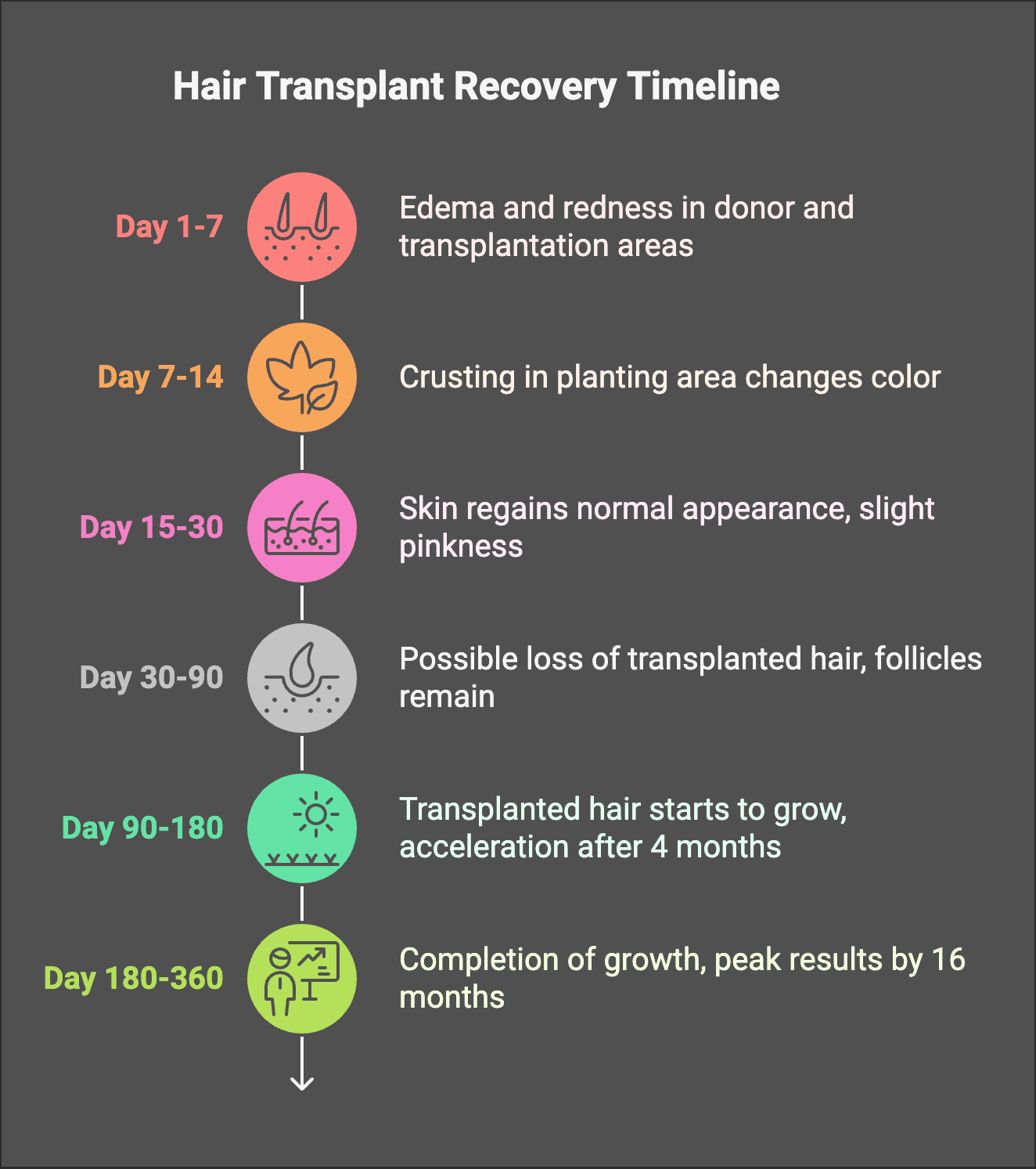 hair_transplant_recovery_timeline