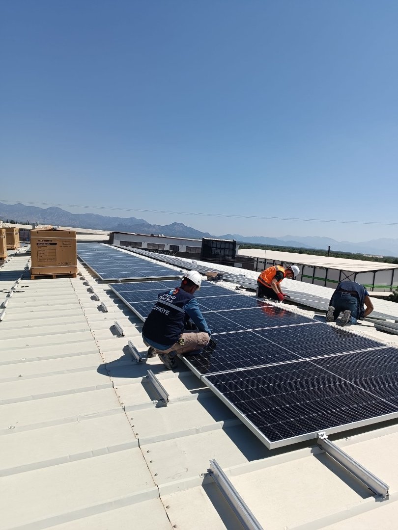 Whatsapp Image 2024-09-26 At 11.46.32 (3)