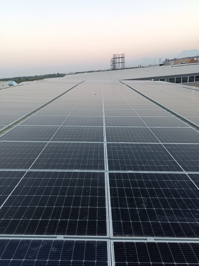 Whatsapp Image 2024-09-26 At 11.46.29