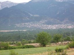Honaz Evden Eve Nakliyat