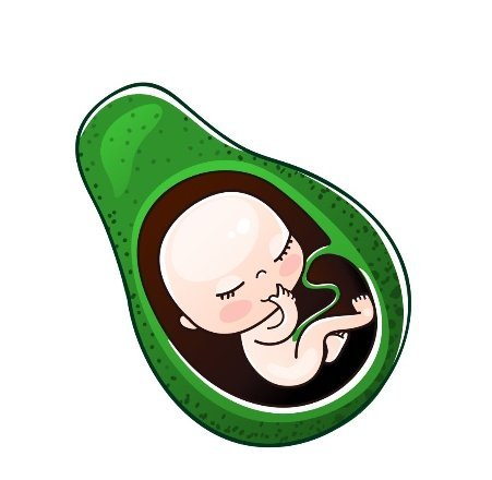 Week by Week Pregnancy 16 - 17 Weeks