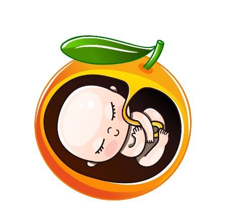 Week by Week Pregnancy 22 - 23 Weeks