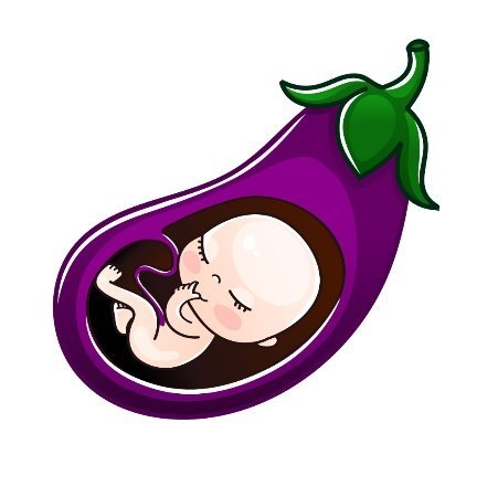 Week by Week Pregnancy 24 - 26 Weeks