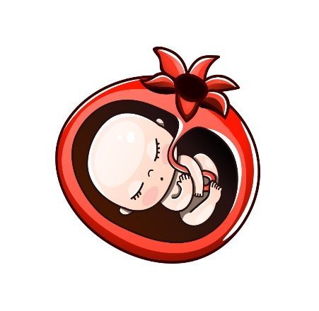 Week by Week Pregnancy 27 - 28 Weeks