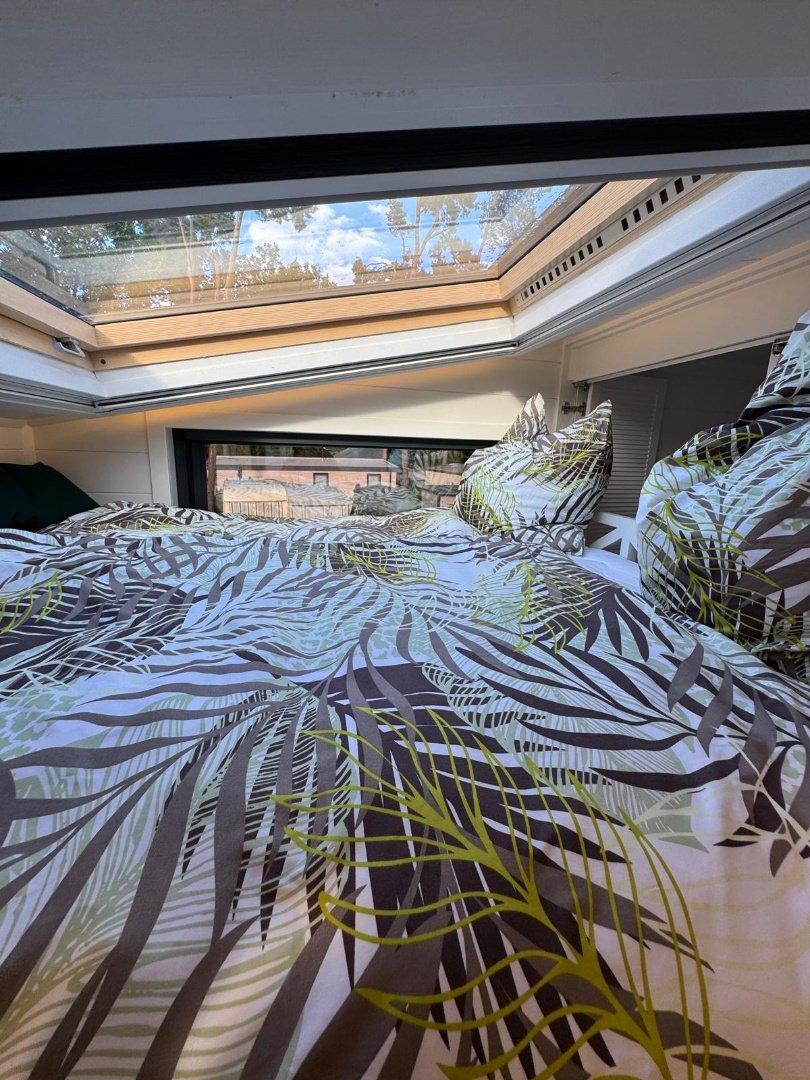 Queen Dream 8334 (26)