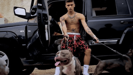 çakal konseri çeşme