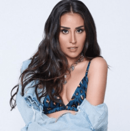 hande ünsal çeşme alaçatı konseri