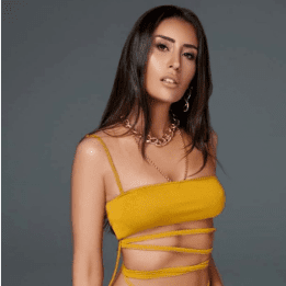 hande ünsal çeşme konseri