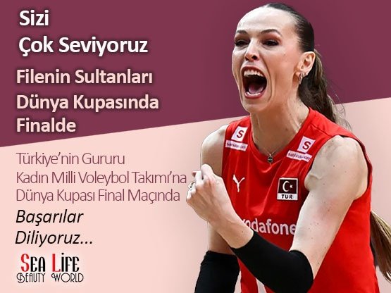 Filenin Sultanları Final Başarılar