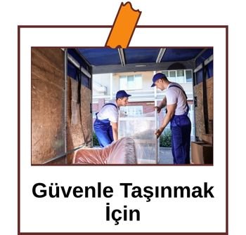 soydem