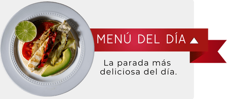 Paragraf Metniniz (5)