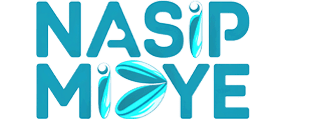 Mavi-Logo1