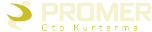 Oto çekici & Oto kurtarıcı