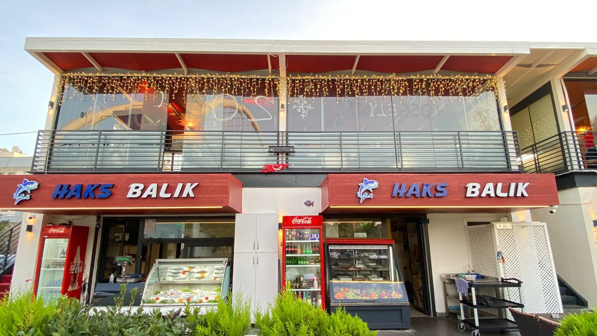 WhatsApp Image 2025-01-17 at 17.45.45