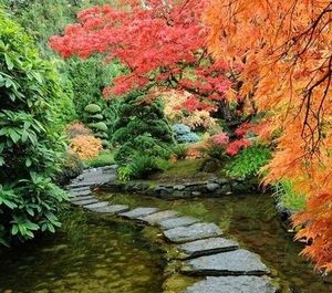 583ce9100816fc3cd94b8573a6bf43a7