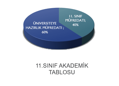 11.sınıf