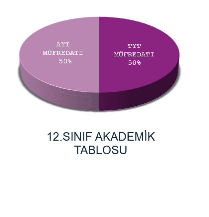 12.sınıf
