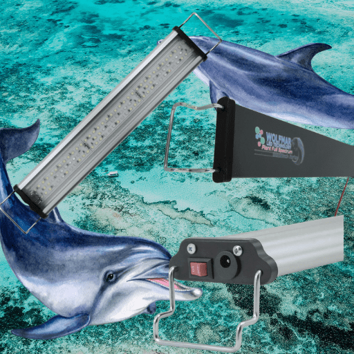 Akvaryum Led Lambalar