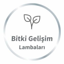 Wolfmar-Bitki-E1673946749689