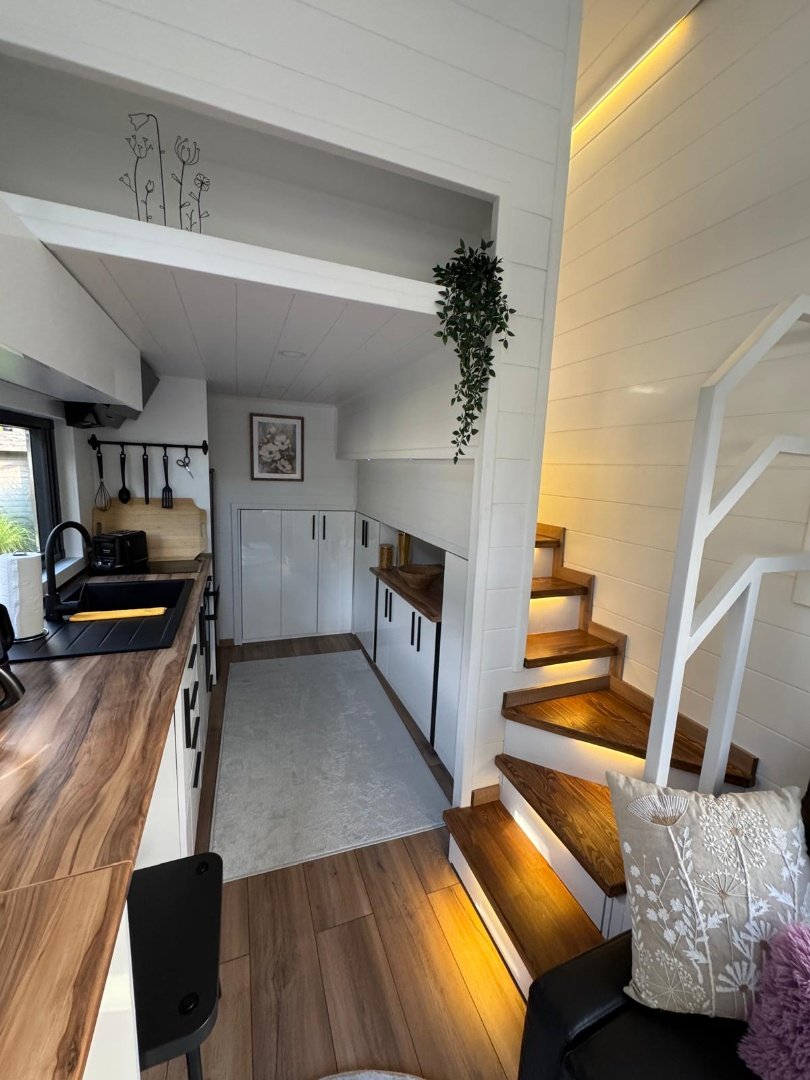 Queen Dream 8334 Premium Line