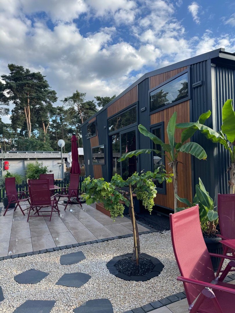 Queen Dream 8334 Premium Line