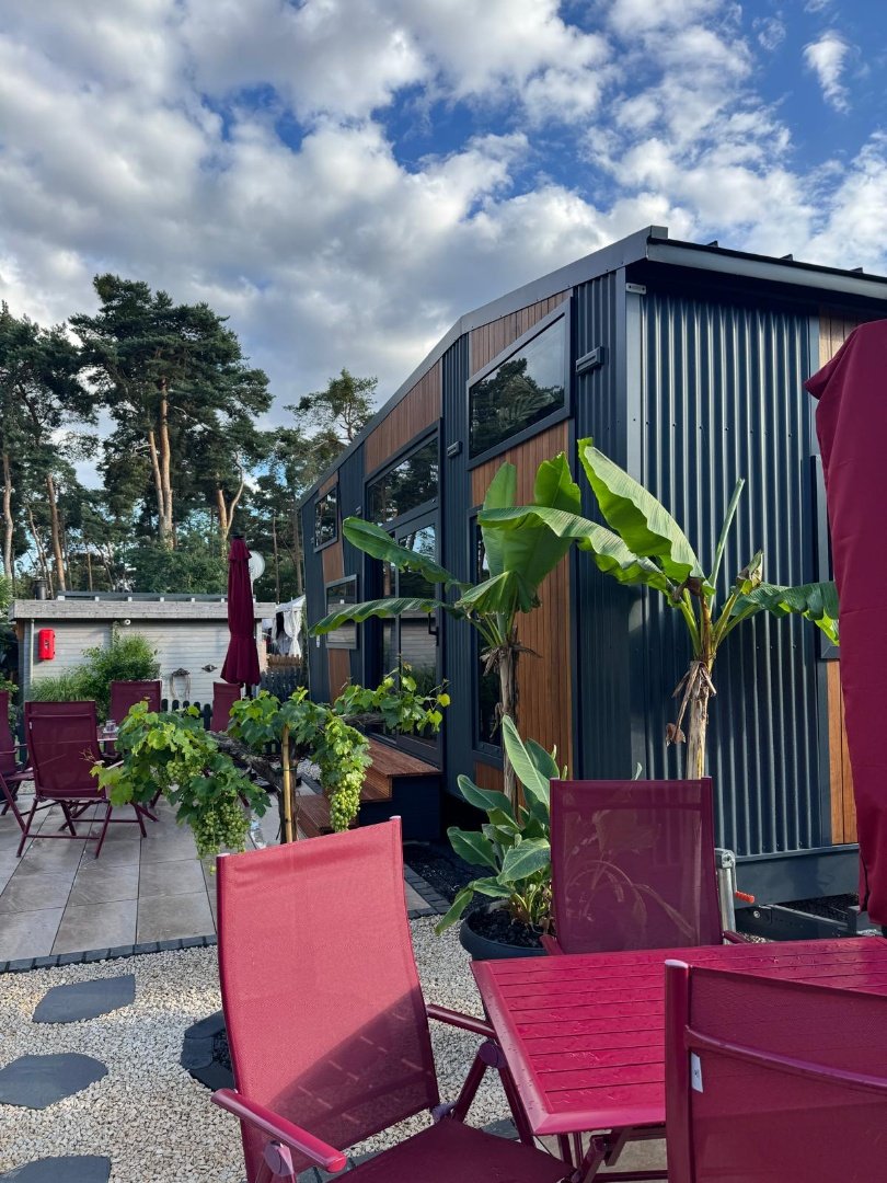 Queen Dream 8334 Premium Line