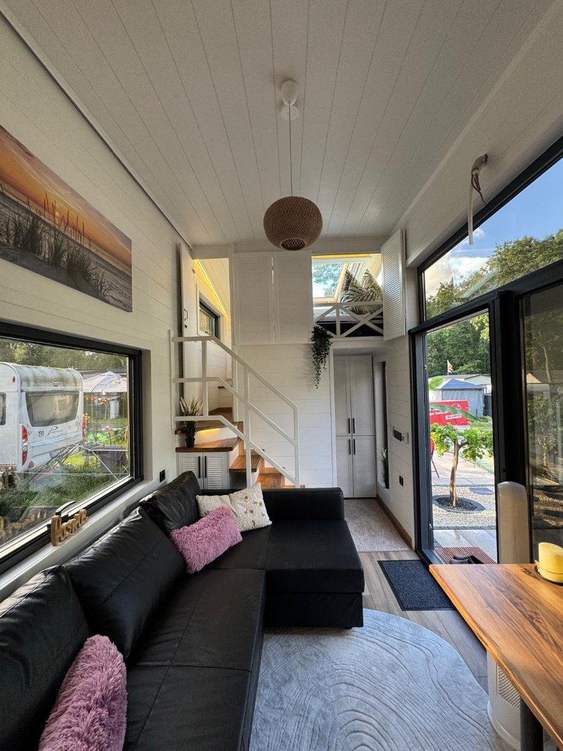 Queen Dream 8334 Premium Line