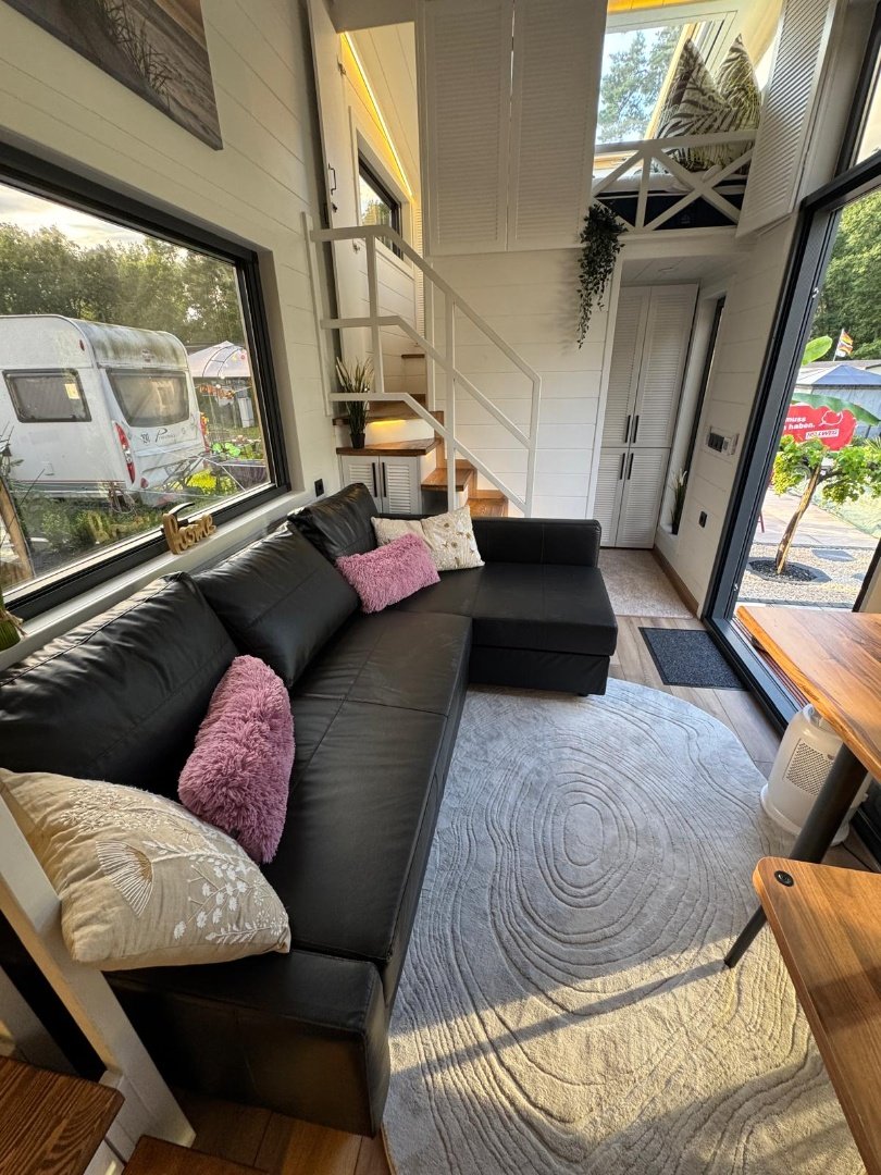 Queen Dream 8334 Premium Line