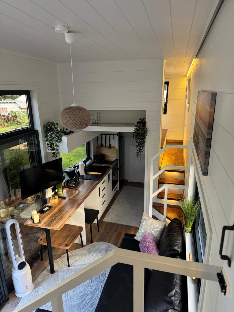 Queen Dream 8334 Premium Line