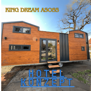 King Dream Asoss (480 X 480 Piksel)