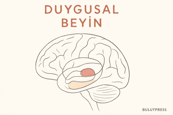 Duygusal Beyin: Kullanıcı Deneyiminde Bilinçaltı Gücü
