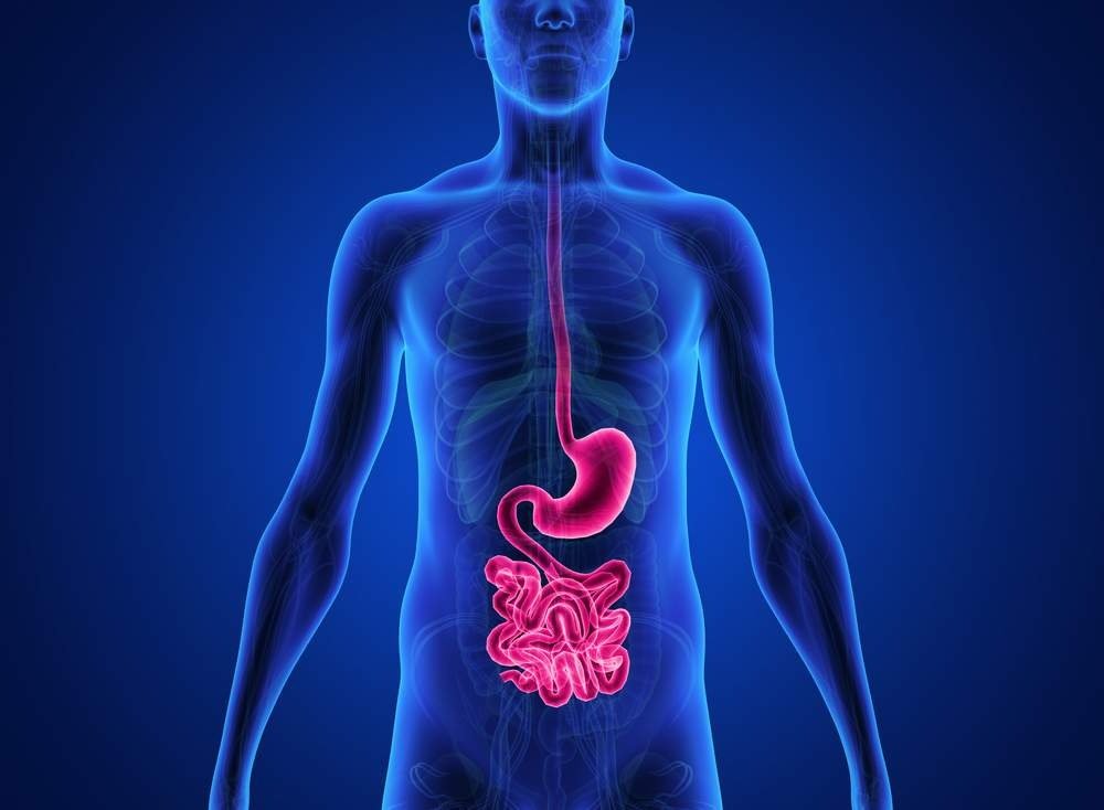 Cirugía de Manga Gástrica en Turquía