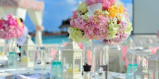 Vestibulum vitae cursus diam