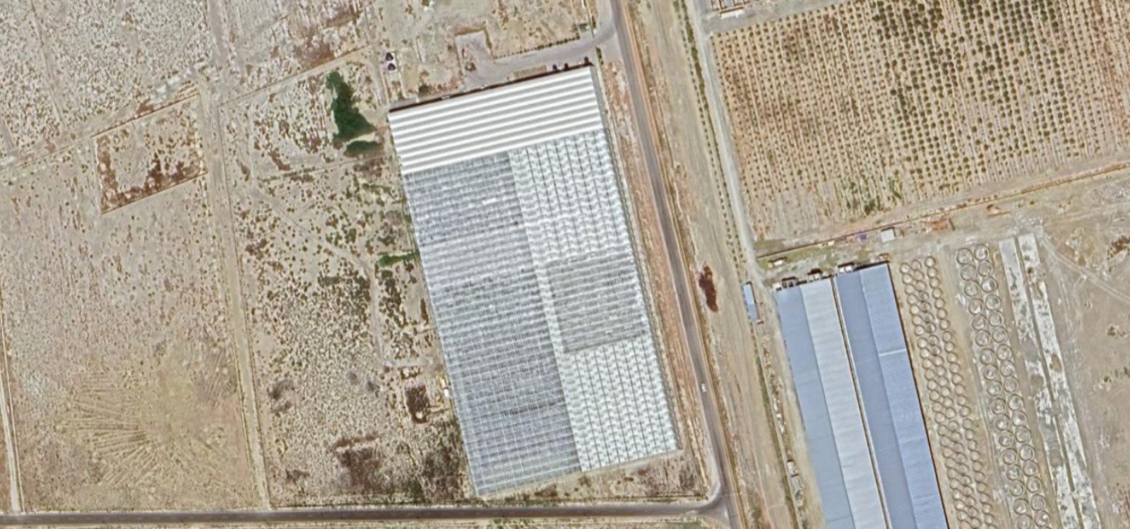 Venlo-Type-Greenhouse-Azerbaijan-New