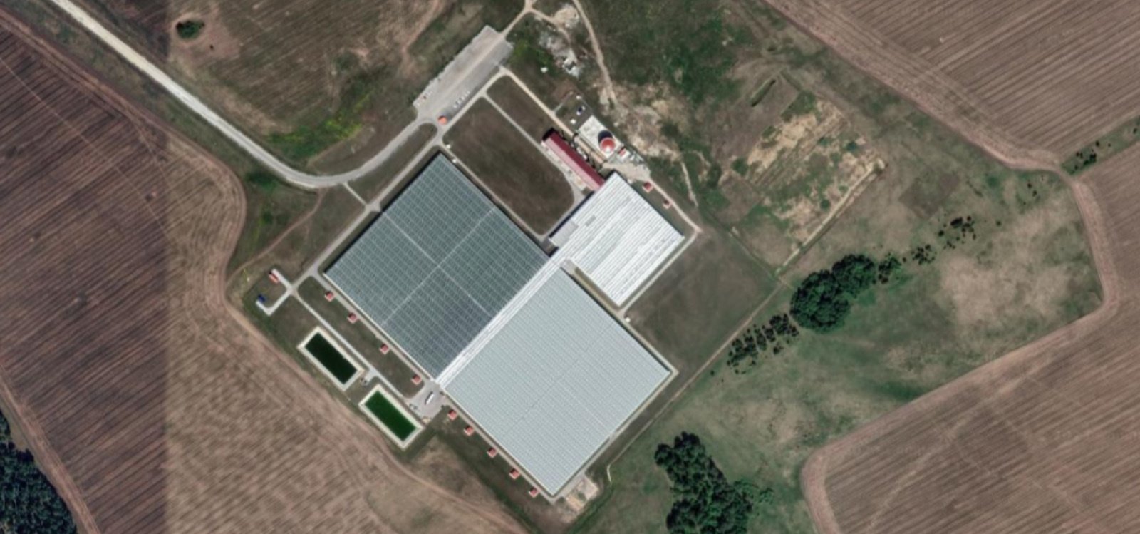 Bg-Polly-Greenhouse-Russia-1