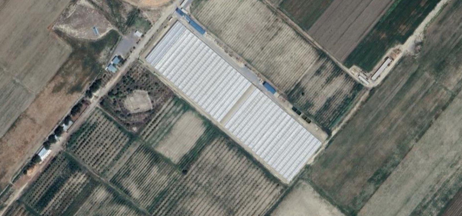 Bg-Poly-Type-Greenhouse-Turkmenia-New