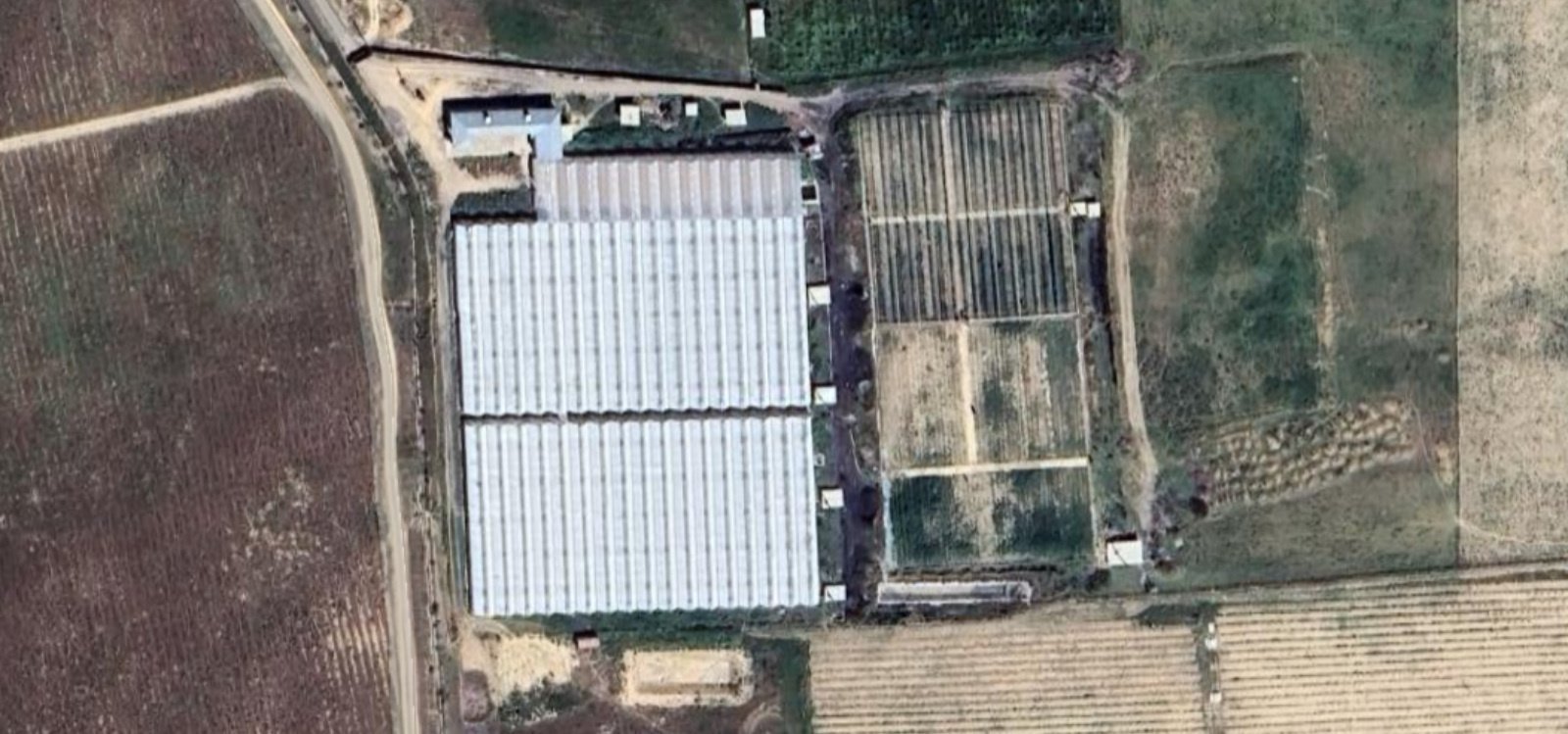 Venlo-Type-Greenhouse-Kazakhstan-Almedia-New