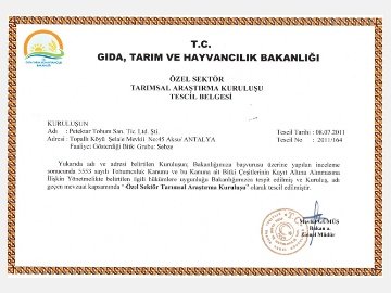 Araştırıcı Kuruluş Belgesi