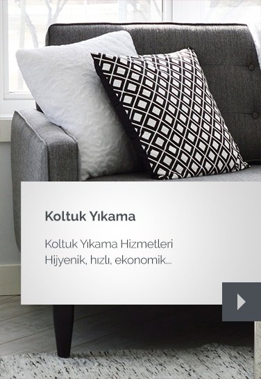 koltuk-yıkama