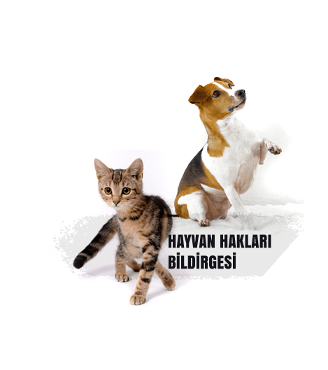 hayvan-hakları