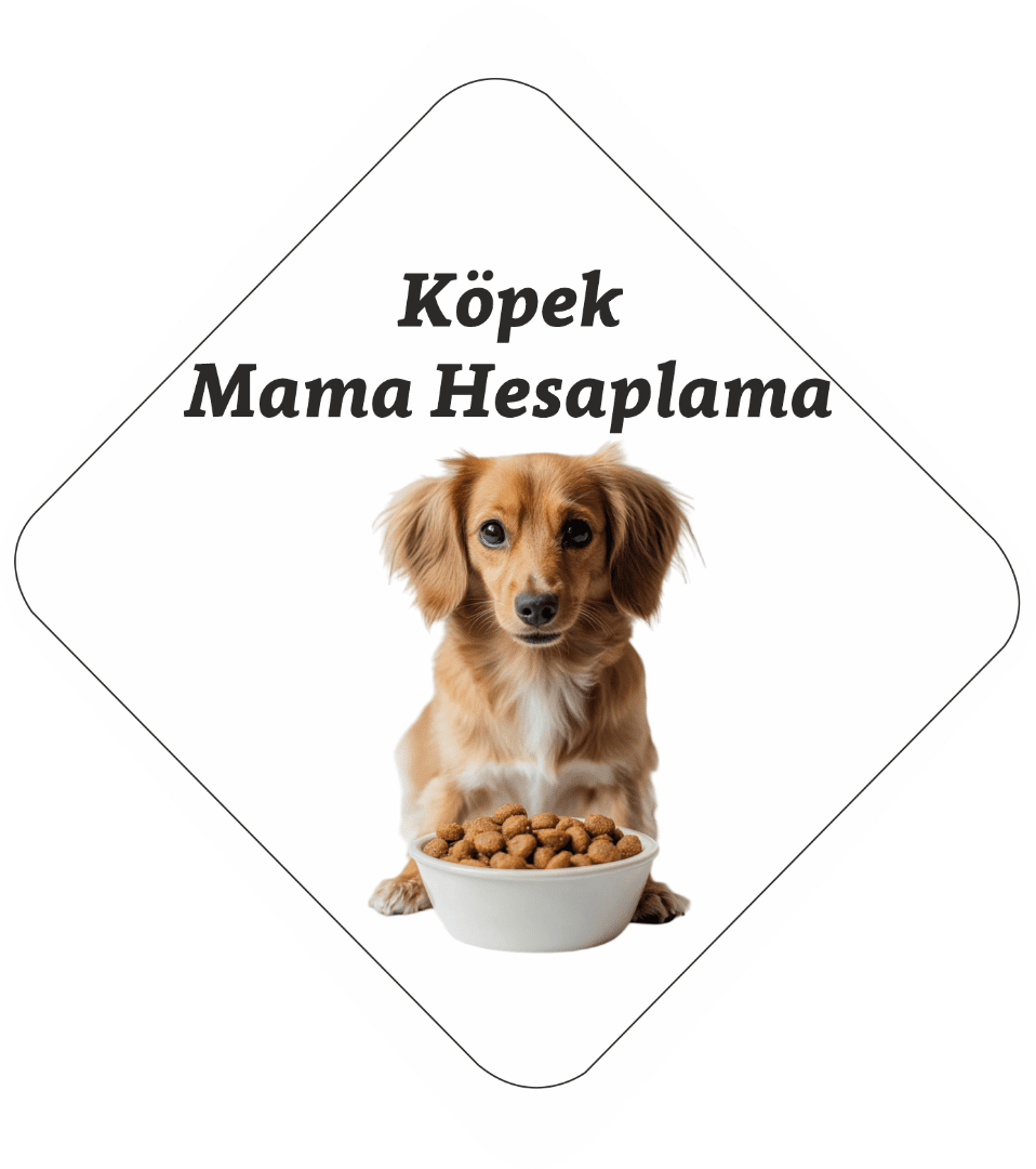 Köpek Mama Hesaplama