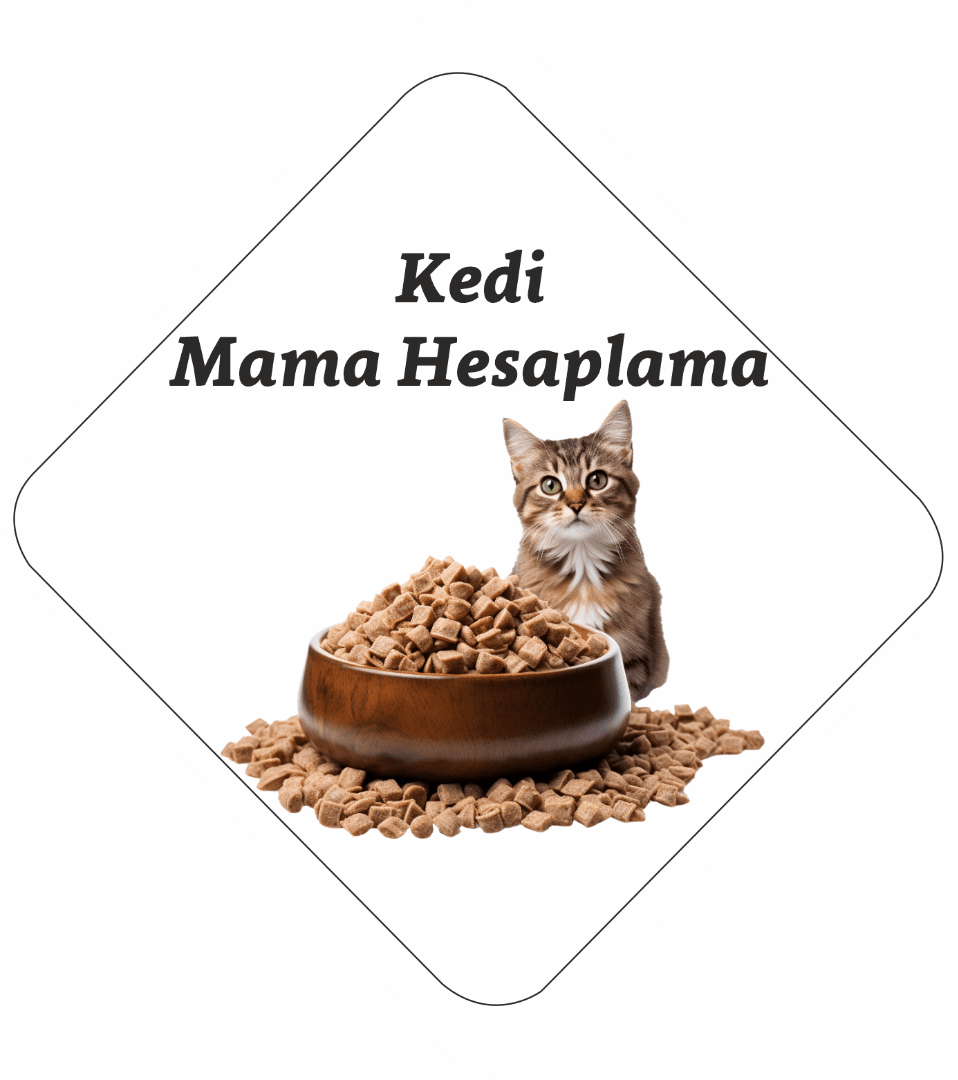 Kedi Mama Hesaplama