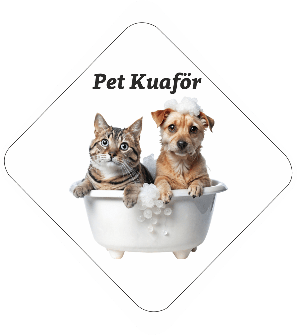 Pet Kuaför