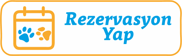 rezervasyon