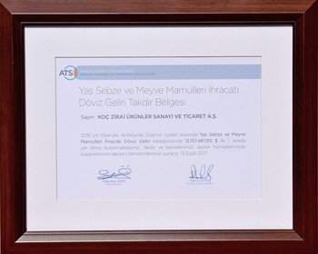 2016 Döviz Geliri Birinciliği