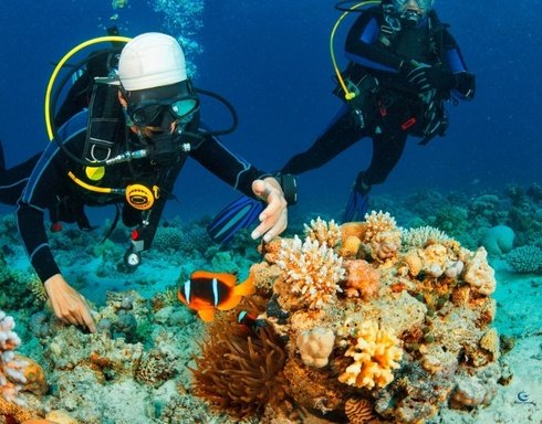 Belek Scuba Diving Tour Price