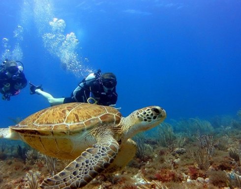 Antalya Scuba Diving